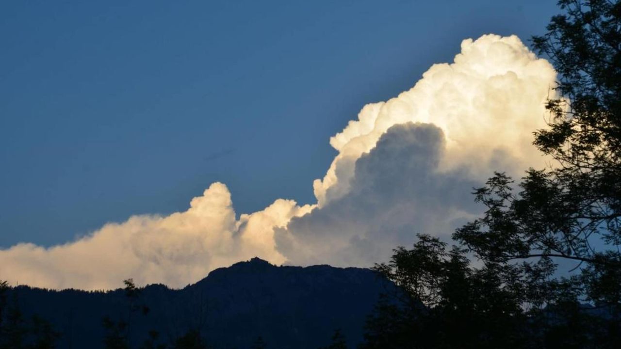 AreaSummer20KM AreaSummer20KM